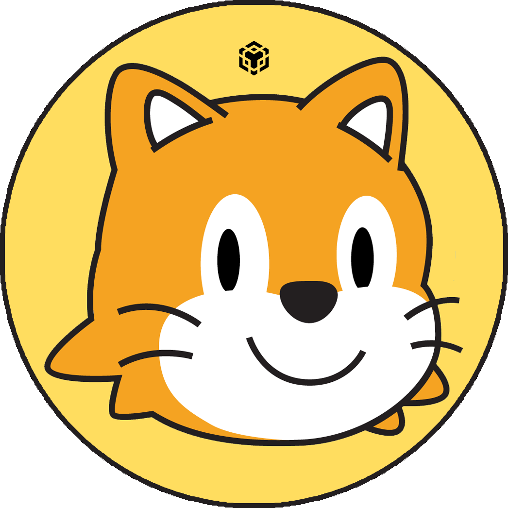 ScratchCat - The Binance Cat